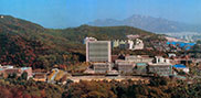 1993-2003년 대학의 대형화와 전환과 성장발전